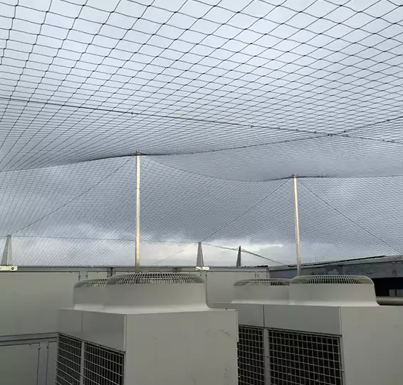 Anti Seagull Nets