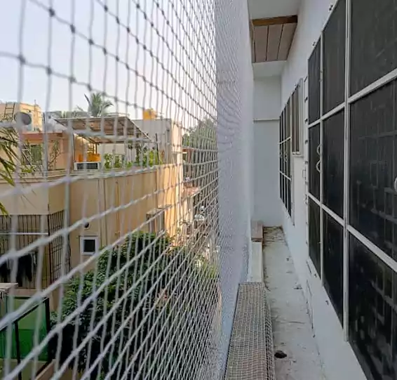Pigeon Nets Installation