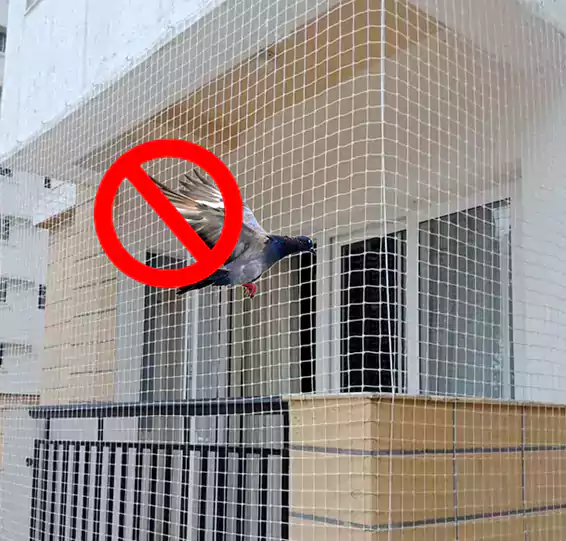 Pigeon Safety Nets