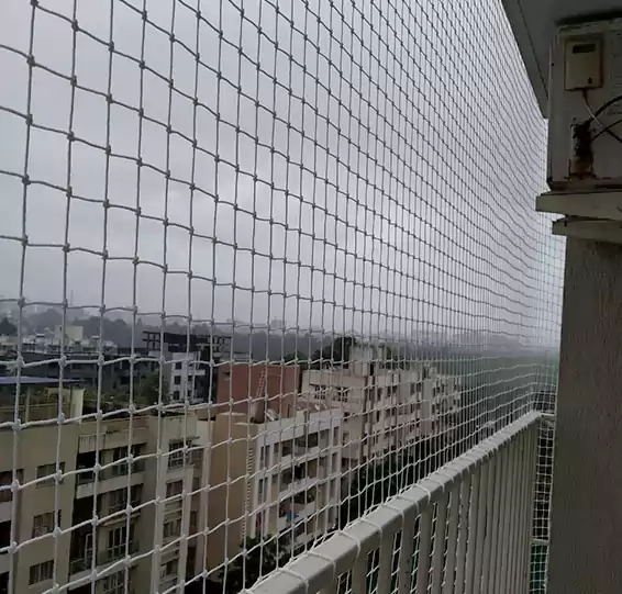 Sparrow Protection Nets