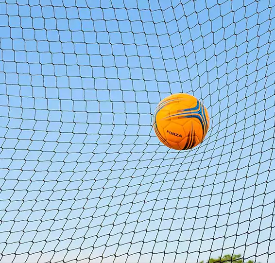 Sports Ball Stop Nets